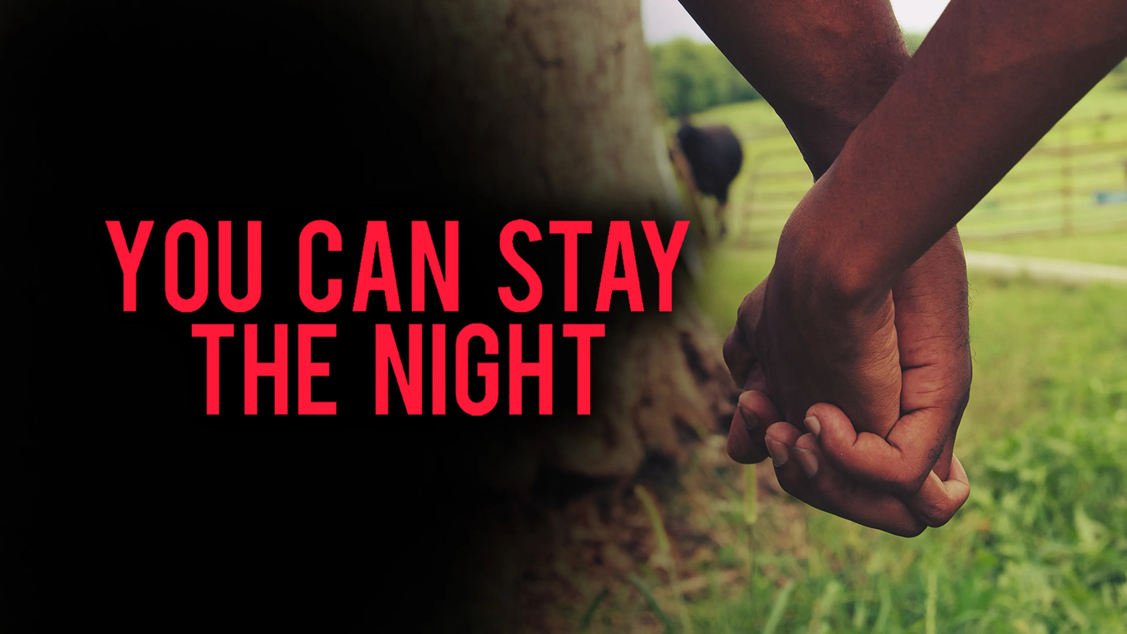 You Can Stay the Night poster